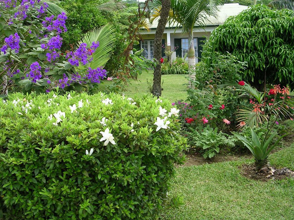 Chez Mamie Bed and Breakfast Les Avirons Εξωτερικό φωτογραφία